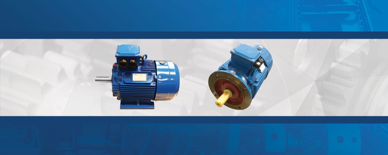 Electromotor